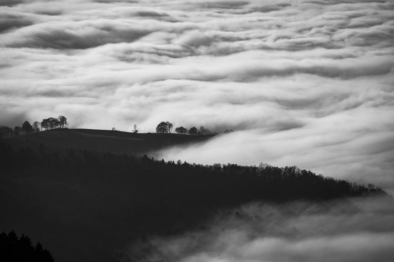 Iure in quod quo